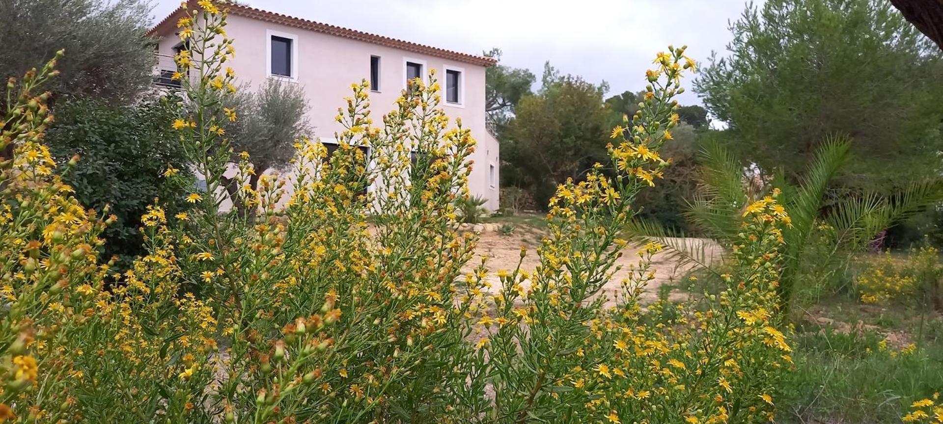 Domaine En Pleine Nature Et Tout Pres De La Plage Sanary-sur-Mer Extérieur photo